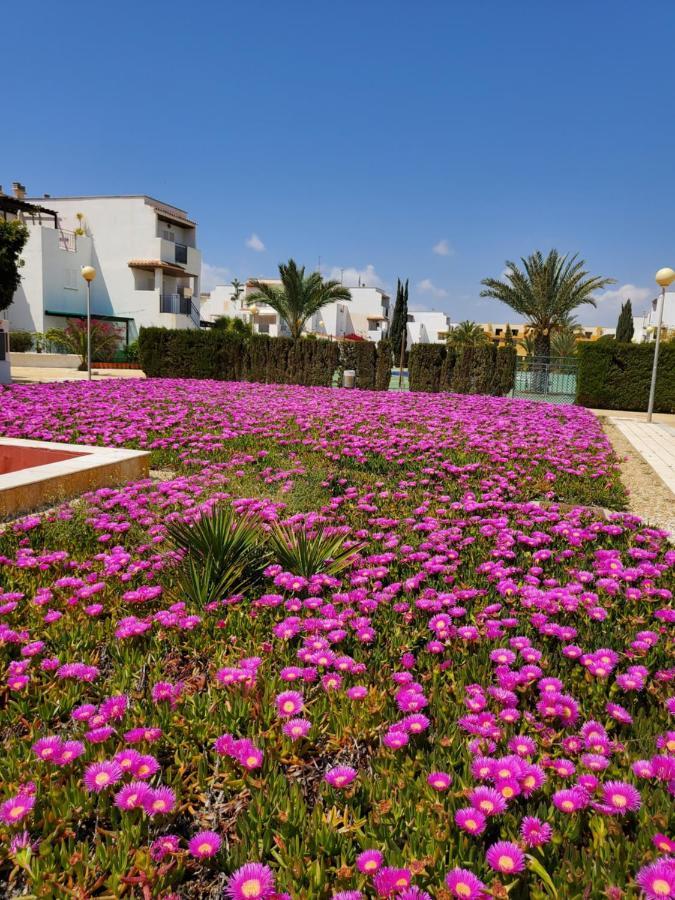 Apartamento Naturista En Primera Línea! Vera Exterior foto